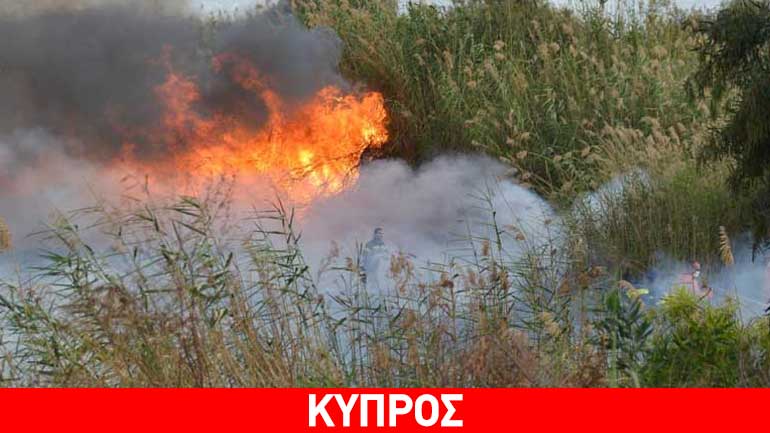 Λεμεσός: Υπό έλεγχο η πυρκαγιά που ξέσπασε στο Φασούρι
